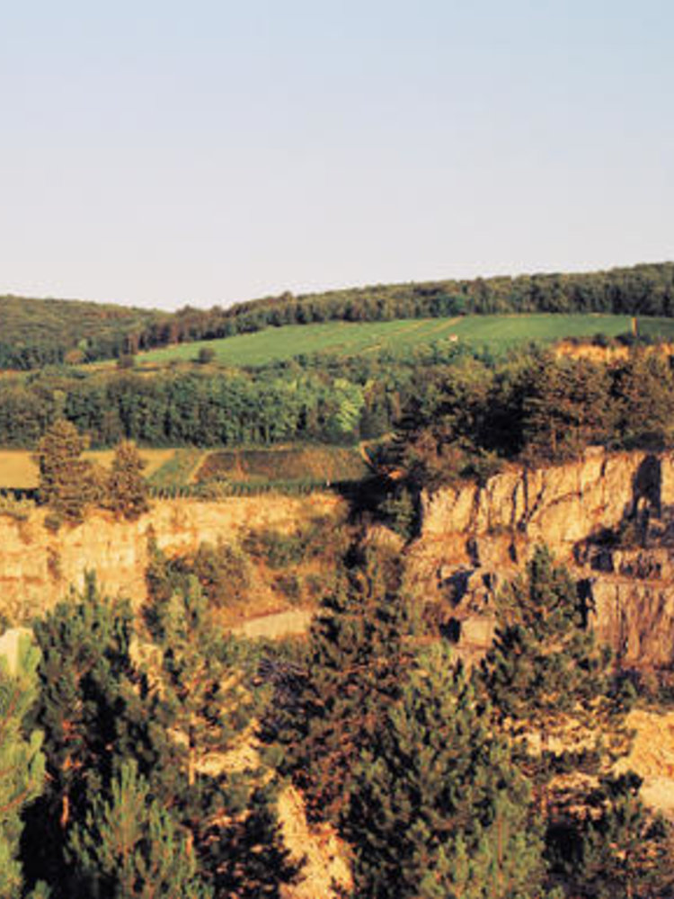 Sylvain Loichet Corton-Charlemagne Grand Cru Lieu dit en Charlemagne 2014