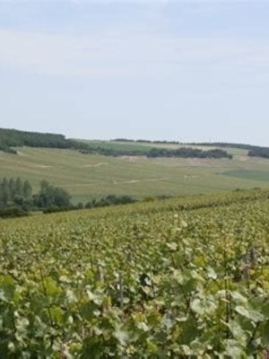 Jean Goulley Chablis Montmains 1er Cru 2018