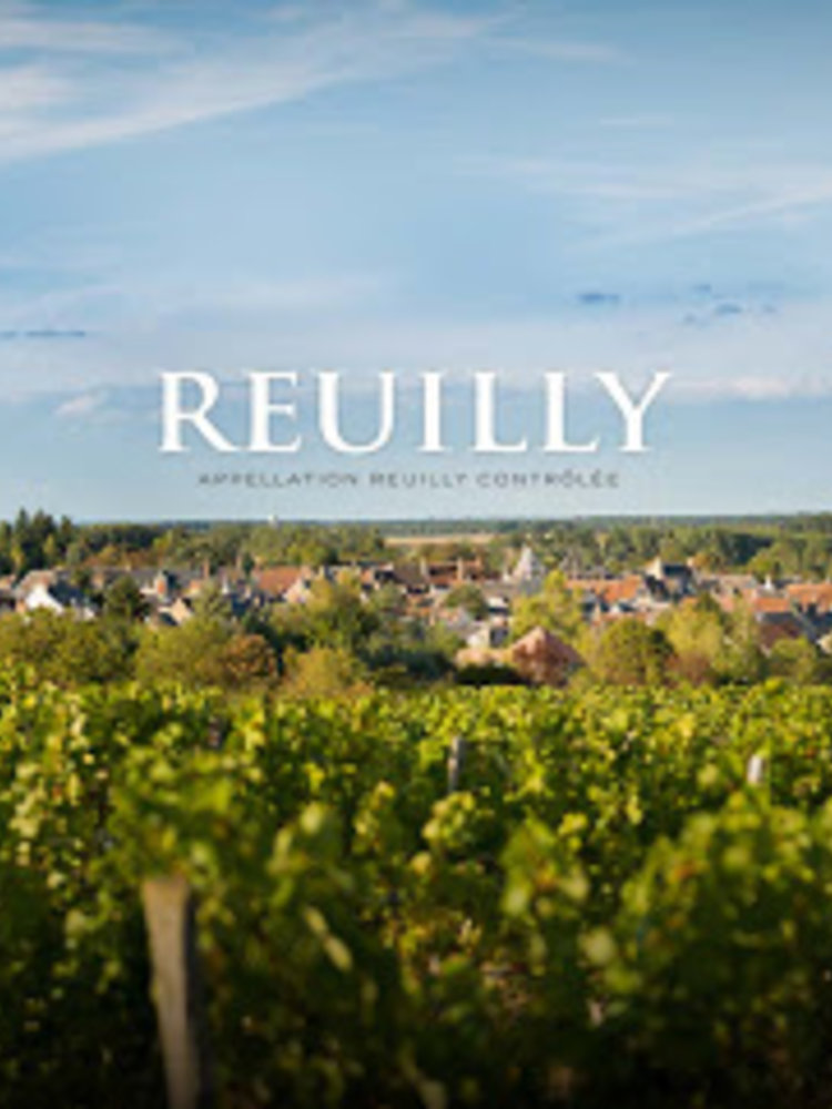 Reuilly Rose 'Les Chenes' BIO 2023