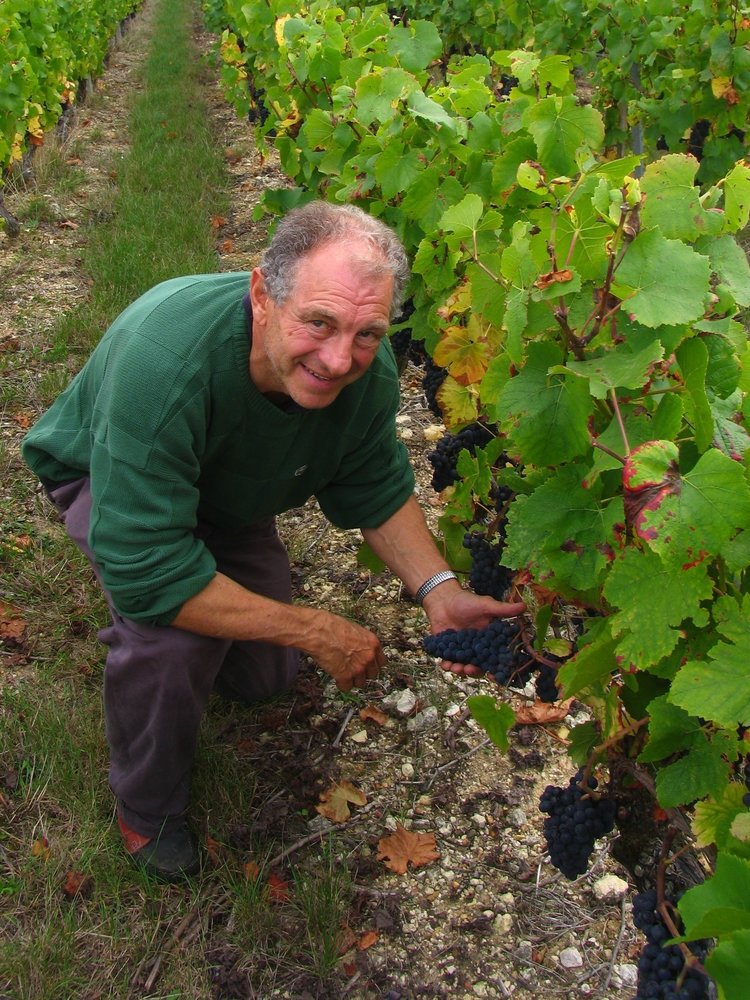 Reuilly Rose 'Les Chenes' BIO 2023