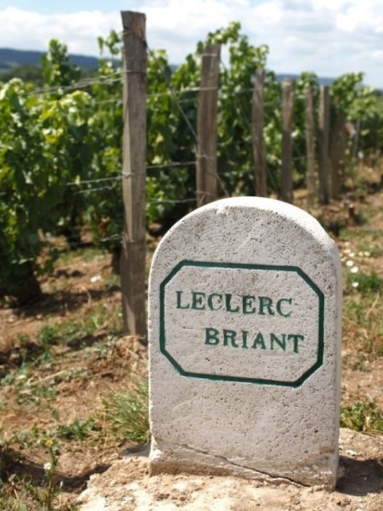 Leclerc Briant Champagne Réserve Brut 2020 - Magnum 1,5L