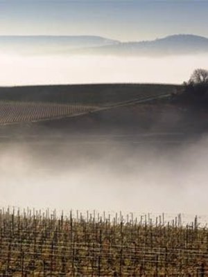 Leclerc Briant Champagne Rosé Extra Brut