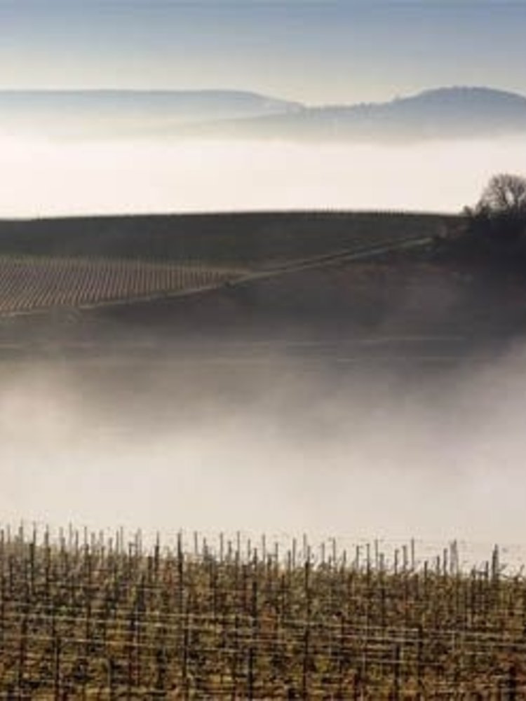 Leclerc Briant Champagne Rosé Extra Brut