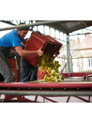 Leclerc Briant La Croisette Parcelle à Épernay Millésime Brut Zéro 2015