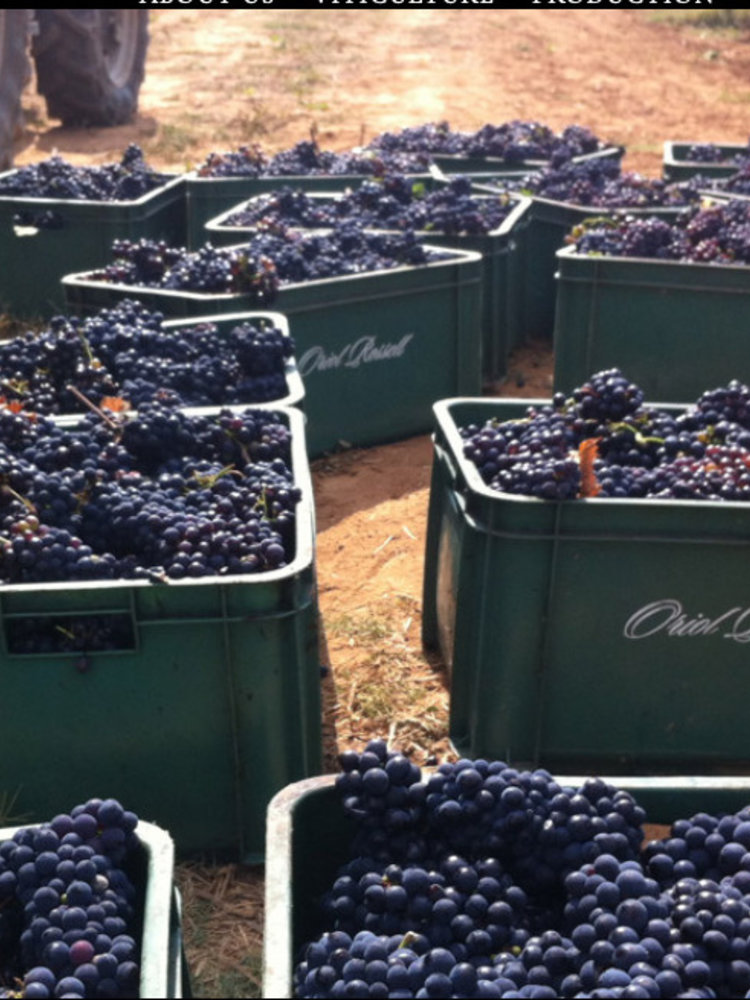 Oriol Rossell Cava Brut Cuvee Especial BIO 2024