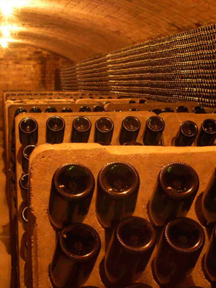Oriol Rossell Cava Brut Cuvee Especial BIO 2023