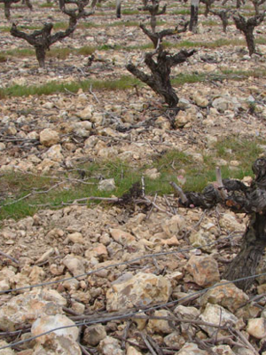 D'Orfeuilles d'Orfeuilles Vouvray Moelleux BIO 2018