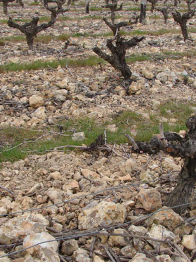D'Orfeuilles d'Orfeuilles Vouvray Moelleux BIO 2018