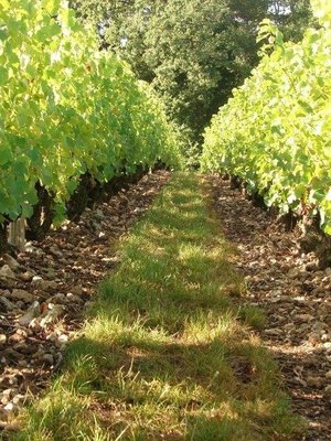 D'Orfeuilles d'Orfeuilles Vouvray Moelleux BIO 2018