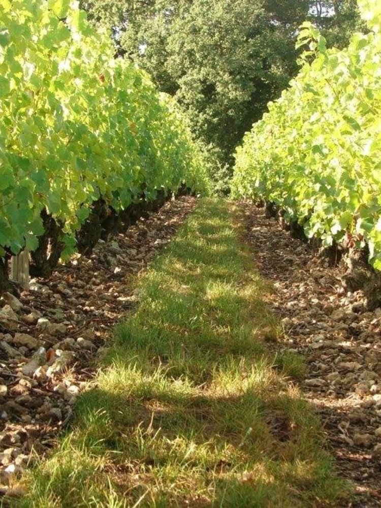 D'Orfeuilles d'Orfeuilles Vouvray Moelleux BIO 2018