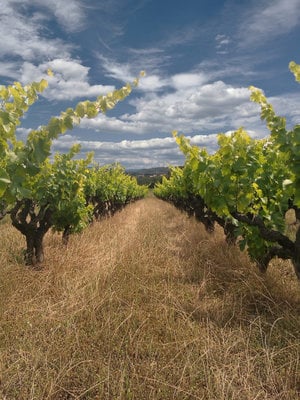 Rochecolombe Côtes du Rhône BIO 2021