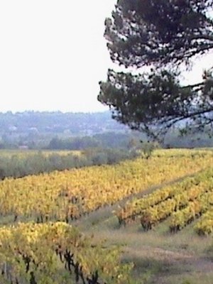 Rochecolombe Côtes du Rhône BIO 2023