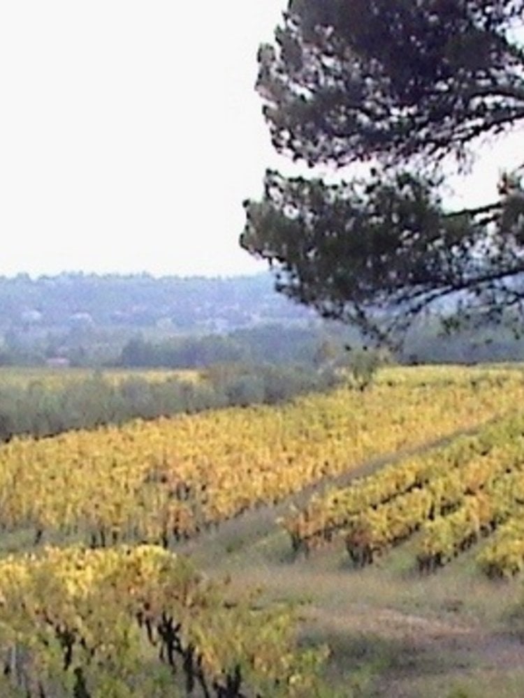 Rochecolombe Côtes du Rhône BIO 2021