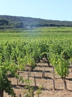 Rochecolombe Côtes du Rhône Clairette BIO 2022