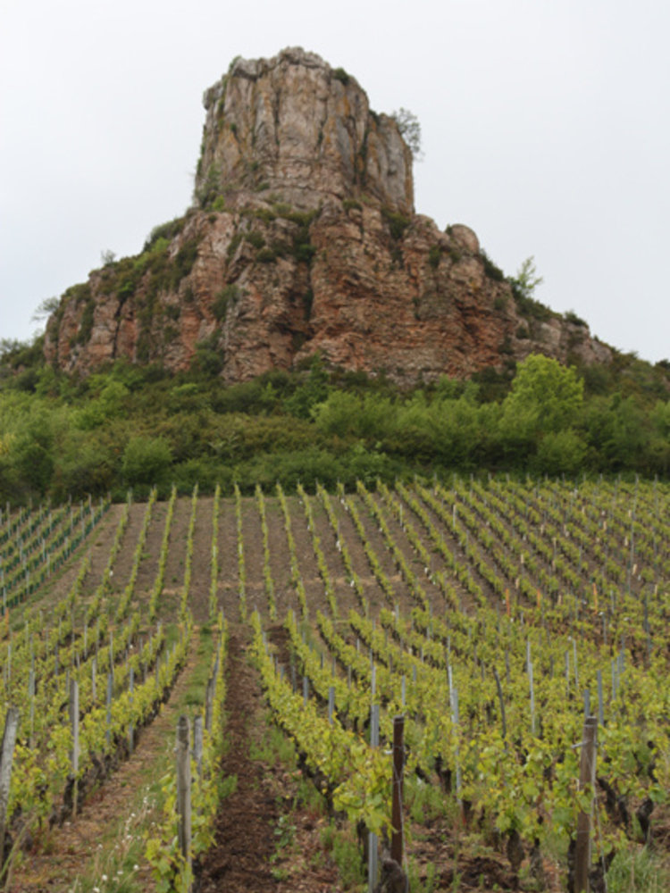 Dominique Cornin Pouilly Fuissé BIO 2023