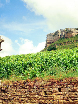 Dominique Cornin Pouilly Fuissé BIO 2023