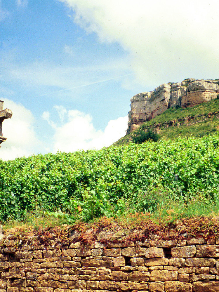 Dominique Cornin Pouilly Fuissé BIO 2023