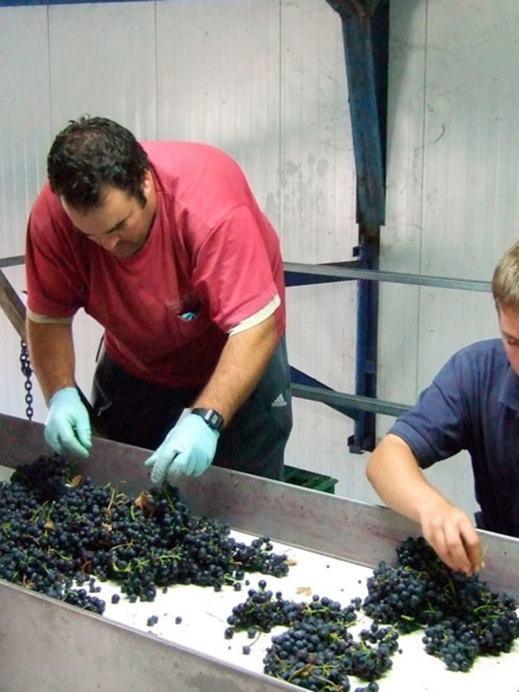 Santa Cruz Cueva del Chamán Esencia Garnacha Tintorera 2016