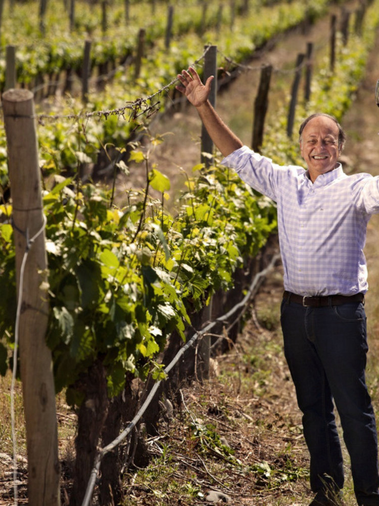 Sophenia Synthesis Cabernet Sauvignon 2019