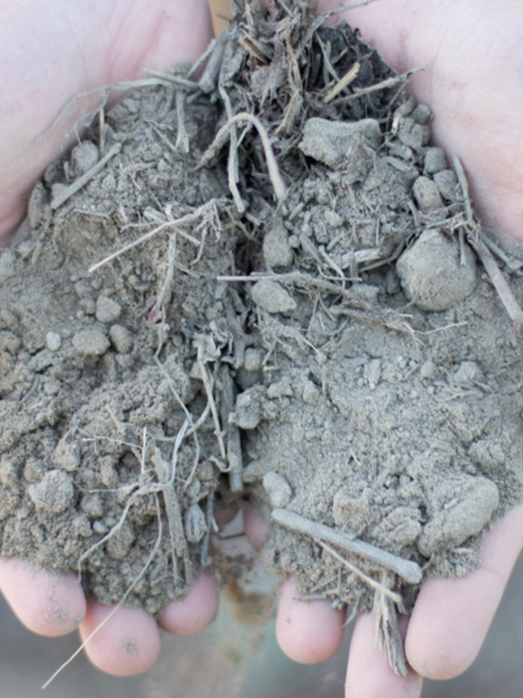 Sophenia Synthesis Cabernet Sauvignon 2019