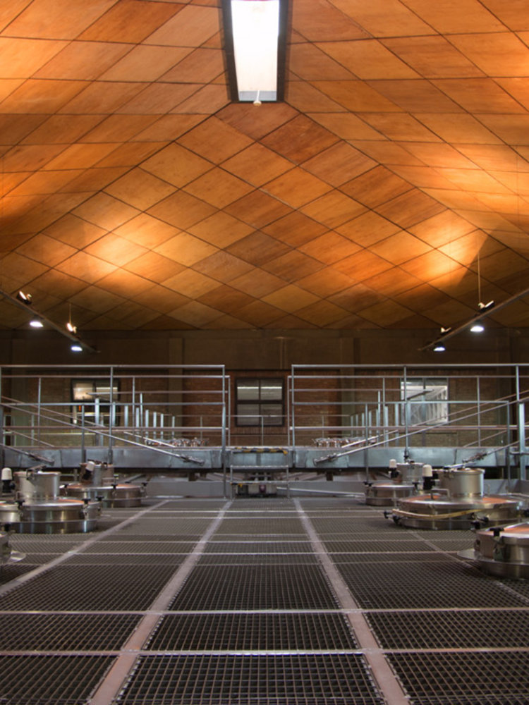 Sophenia Synthesis Cabernet Sauvignon 2019