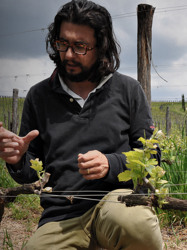 Stefano Amerighi Syrah 2022