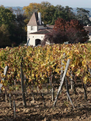 ChÃ¢teau Jean Faux Les Pins Francs Blanc 2020