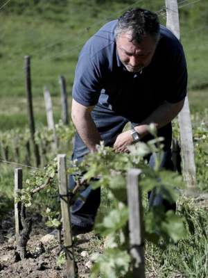 Château Jean Faux Sainte Radegonde Blanc 2020