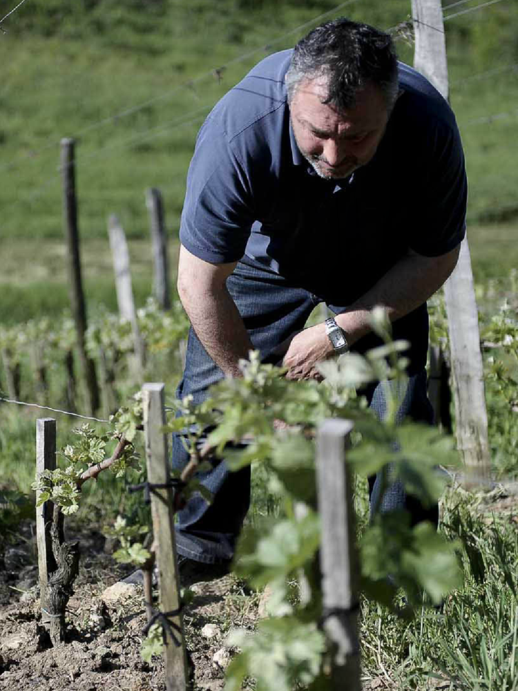 Château Jean Faux Sainte Radegonde Rouge 2017