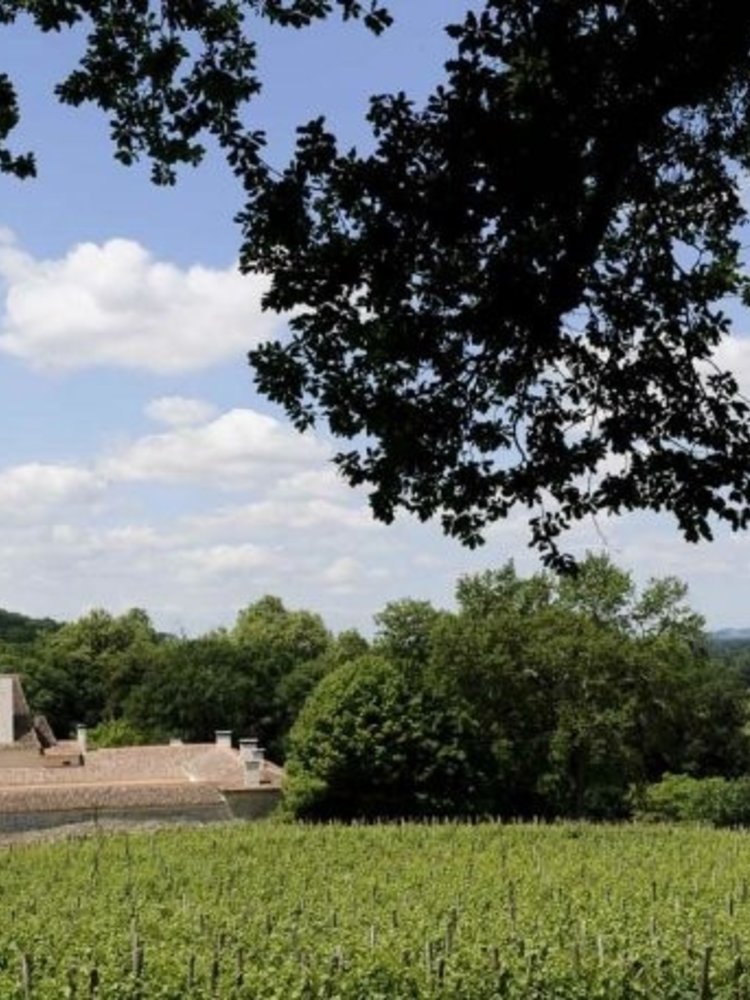 Château Jean Faux Sainte Radegonde Rouge 2017