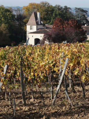 Château Jean Faux Sainte Radegonde Rouge 2017