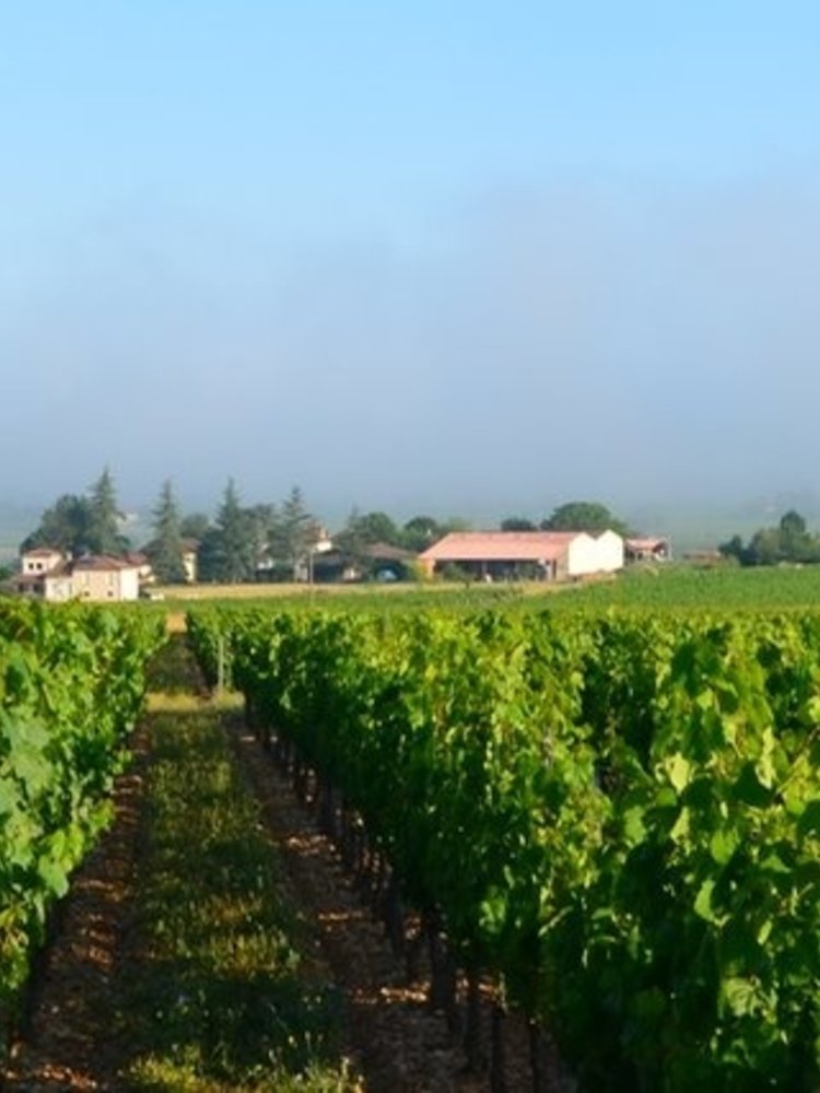 Château du Cèdre Le Cèdre Héritage 2020