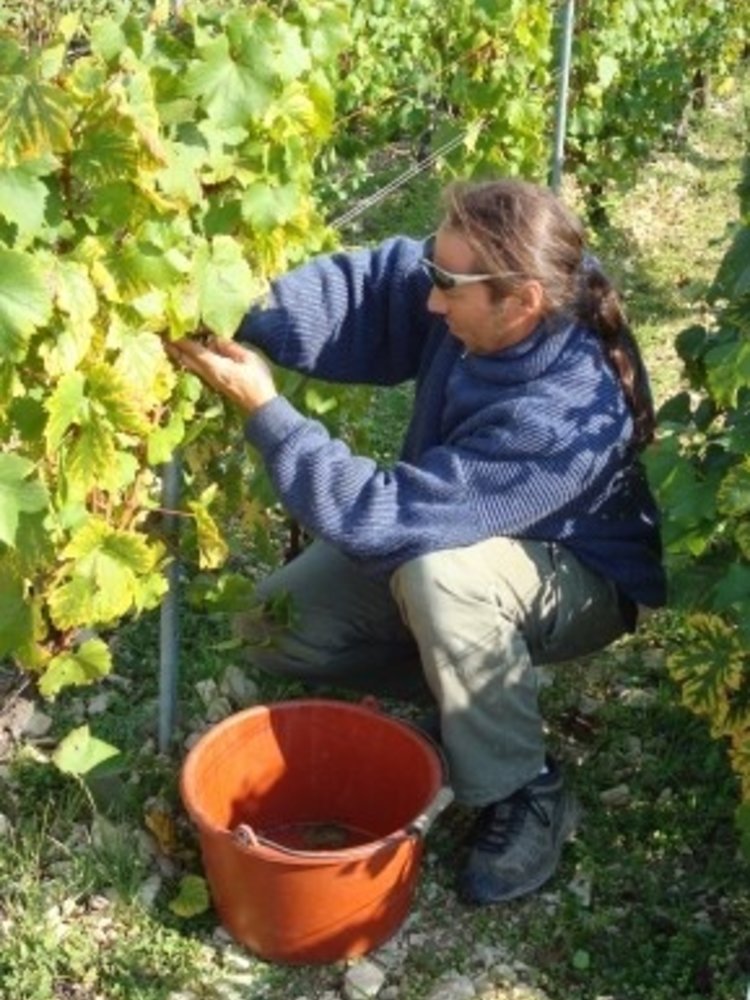 Jean Goulley Petit Chablis 2023