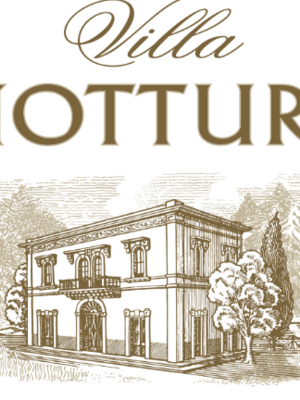 Villa Mottura Primitivo del Salento 2022