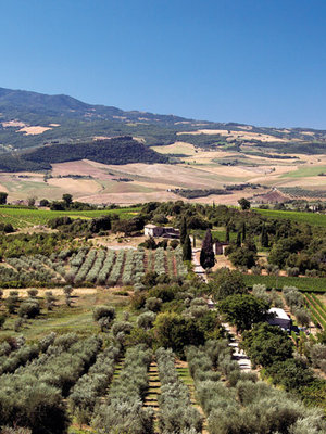 Tenuta di Sesta Rosso di Montalcino 2021