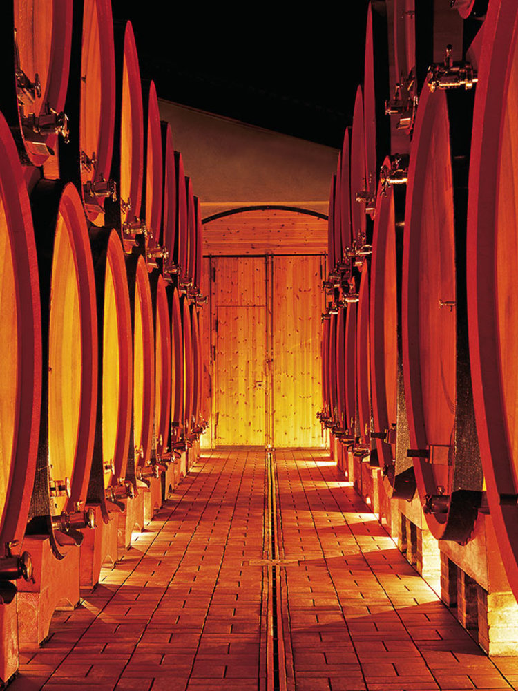 Tenuta di Sesta Camponovo 2024