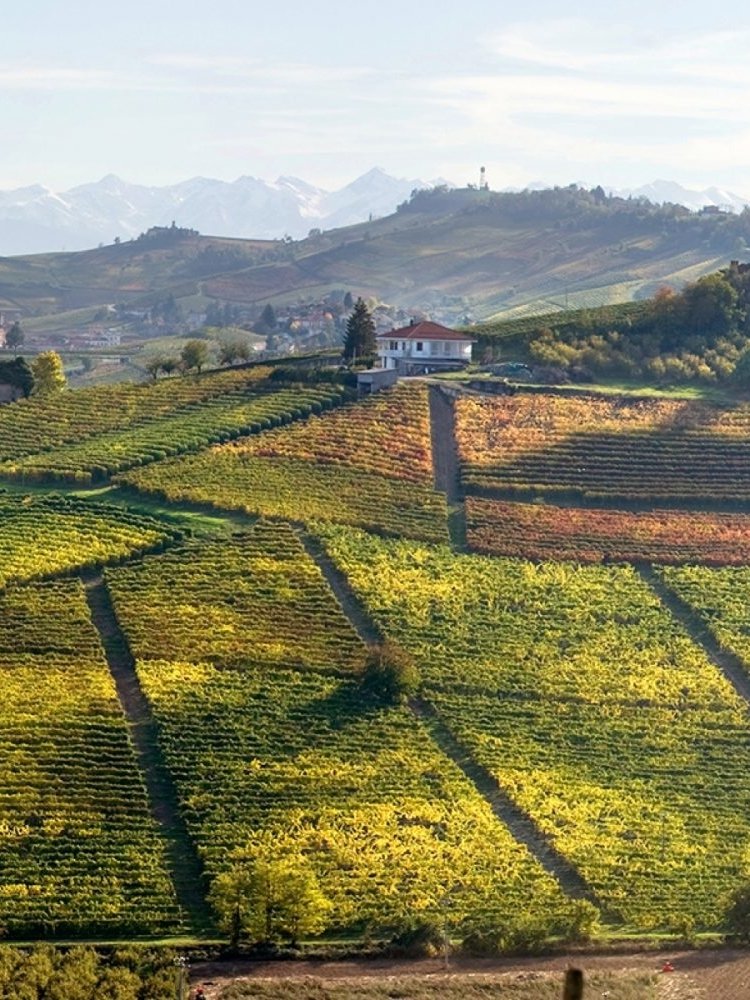 Negretti Langhe DOC Nebbiolo Minot 2023