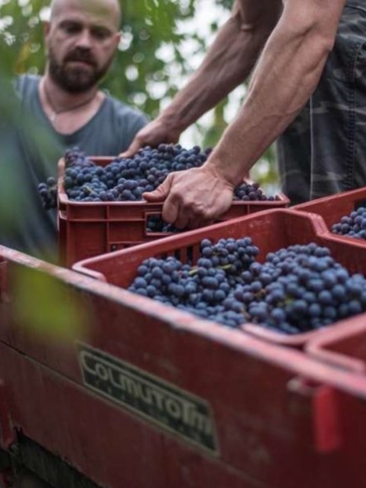 Negretti Barolo 2012