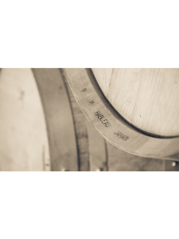 Reuilly Blanc 'Les Fossiles' BIO 2023