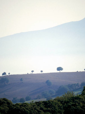 Nittardi Belcanto Chianti Classico BIO 2022
