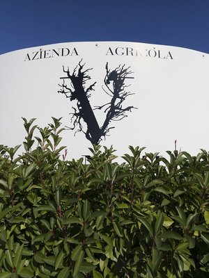 Venea  'Burbero' Montepulciano d'Abruzzo 2024
