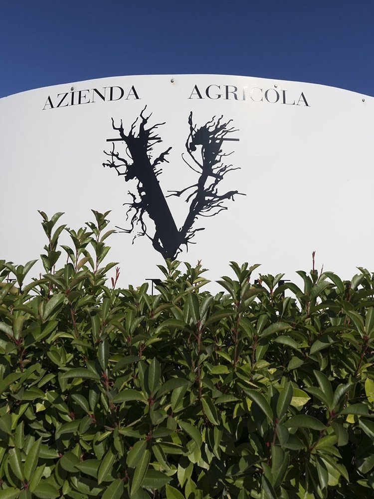 Venea  'Burbero' Montepulciano d'Abruzzo 2024