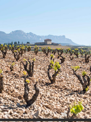 López de Haro Rioja Reserva 2019