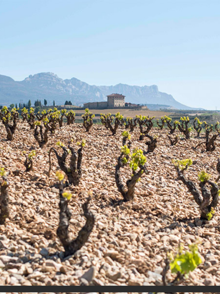 López de Haro Rioja Reserva 2017