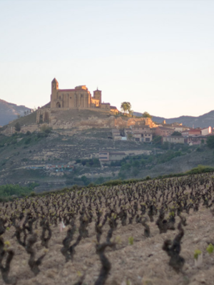 López de Haro Rioja Reserva 2019