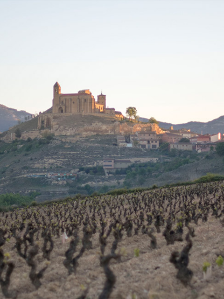 López de Haro Rioja Reserva 2019