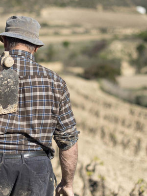 López de Haro Rioja Reserva 2019
