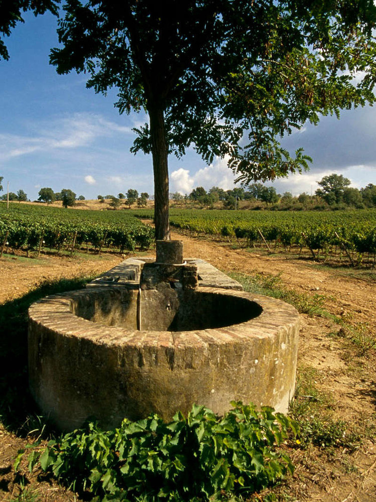 Nittardi Nectar Dei 2021