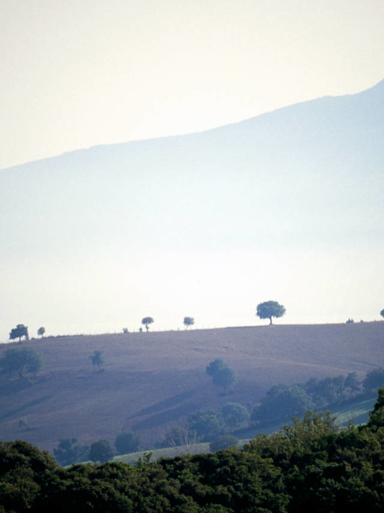 Nittardi Ad Astra 2022