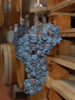 Brigaldara Amarone della Valpolicella Classico 2016